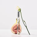 Leplein Pink Wonder Jeonju 10ml Perfume-0